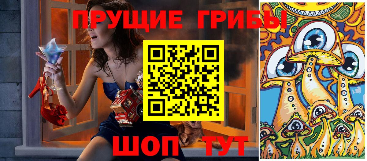 Бердск  Псилоцибиновые грибы ЛСД  Галлюциногенные грибы Psilocybe  продажа наркотиков  Вход с VPN 