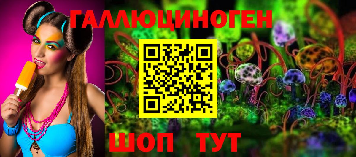 Псилоцибиновые грибы Psilocybine cubensis Бердск